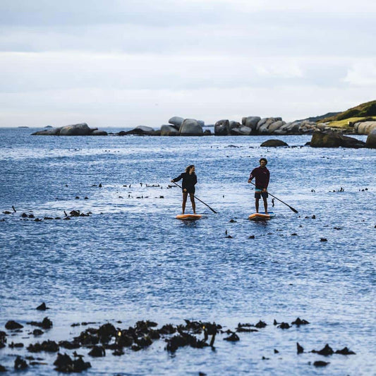 Buying Guide - Paddleboard Packages