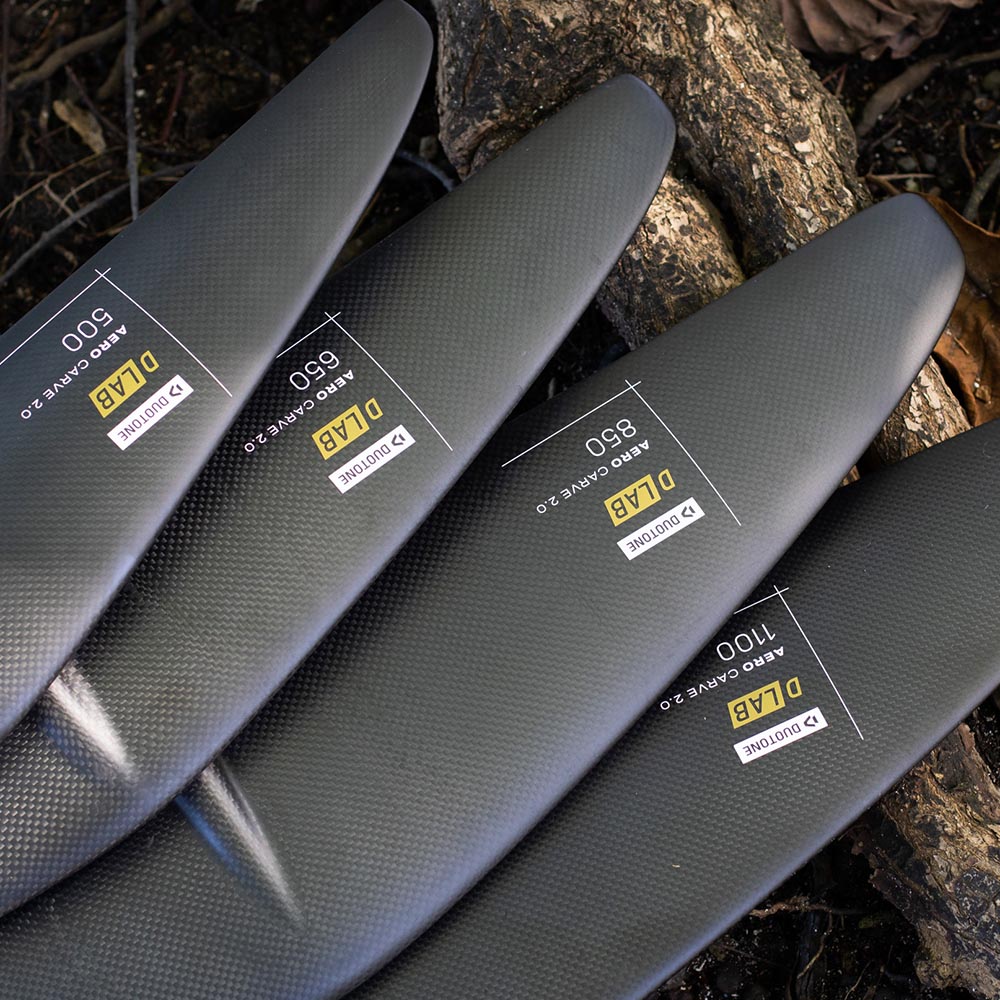 Wing Foil Front & Back Wings
