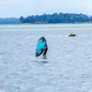 Tahe Alize Wing Aria Inflatable Board Complete Wing Package