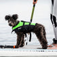 Pluto Pet Buoyancy Aid