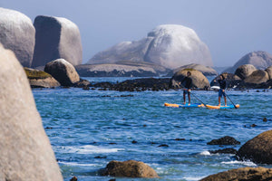 Glass PE Adjustable Paddle