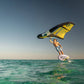 Ventis FS Wing