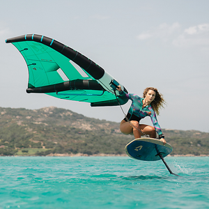 Skybrid Unit Wing Package