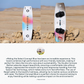 Select Concept Blue Kiteboard