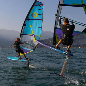 Stingray Windsurf Board