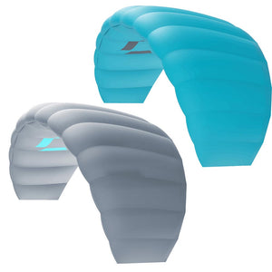 Lizard Trainerkite