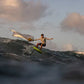Carve 3.0 SLS Wing Set