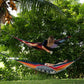 Hammocks