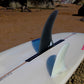 7'6 Southern Swells Mini Mal Surfboard