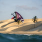 Fly III PRO Wing
