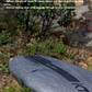 Drifter Surf Pro Carbon