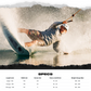 Noodle Wakeboard
