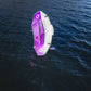 Ventis FS Wing