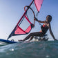 Ryde HD Windsurf Sail