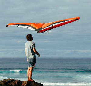Swing V5 Wing