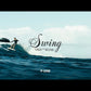 Swing V5 Wing