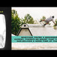 FLX Wakeboard