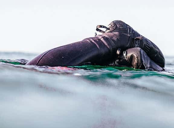 Wetsuit-Cat-Image-Accessories