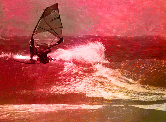 Windsurf-Cat-Image-SALE